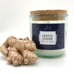 Gentle Ginger scented candle | ginger fragrance candle | soy blend candles | small batch candles