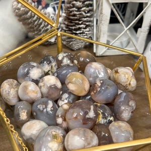 Black Flower Agate Tumble