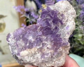 Puede incluir: Un grupo de cristales de fluorita natural. El cristal presenta una mezcla de tonos morados y blancos, con los cristales morados formando formas geométricas. La textura general es rugosa y cristalina, mostrando la belleza natural del mineral.