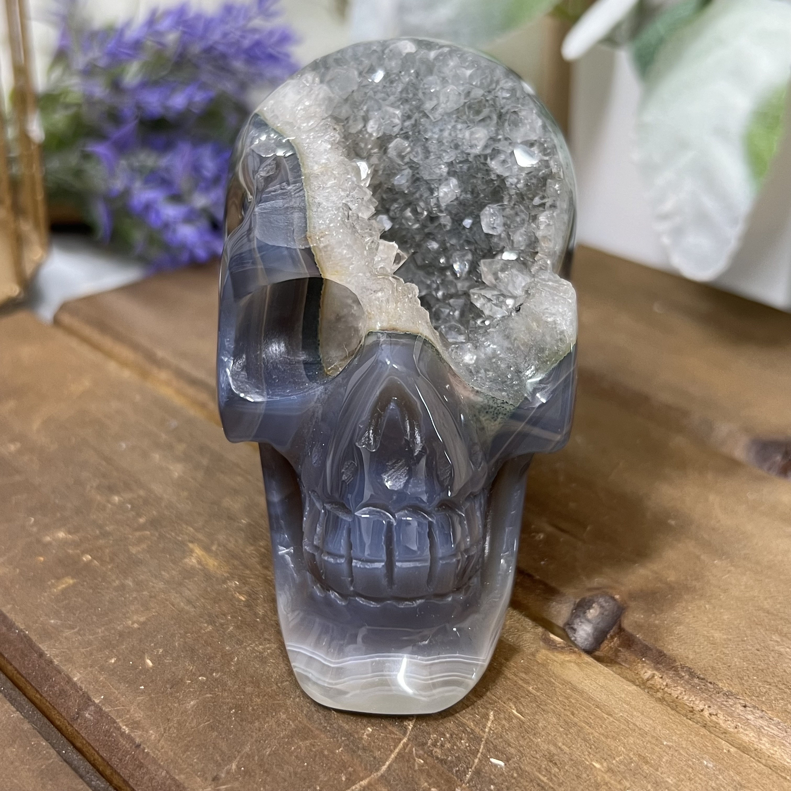 Druzy Agate Skull Druzy Agate Skull