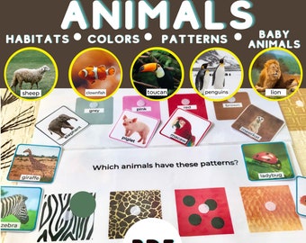 Printable Animal Busy Book: Learning Activity Pages (PDF)