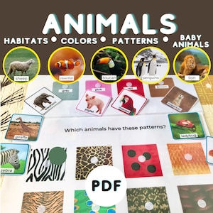 Printable Animals Busy Book / Animals Activity Pages /  Animals Worksheets for Toddler / Learning Animals / Preschool Binder