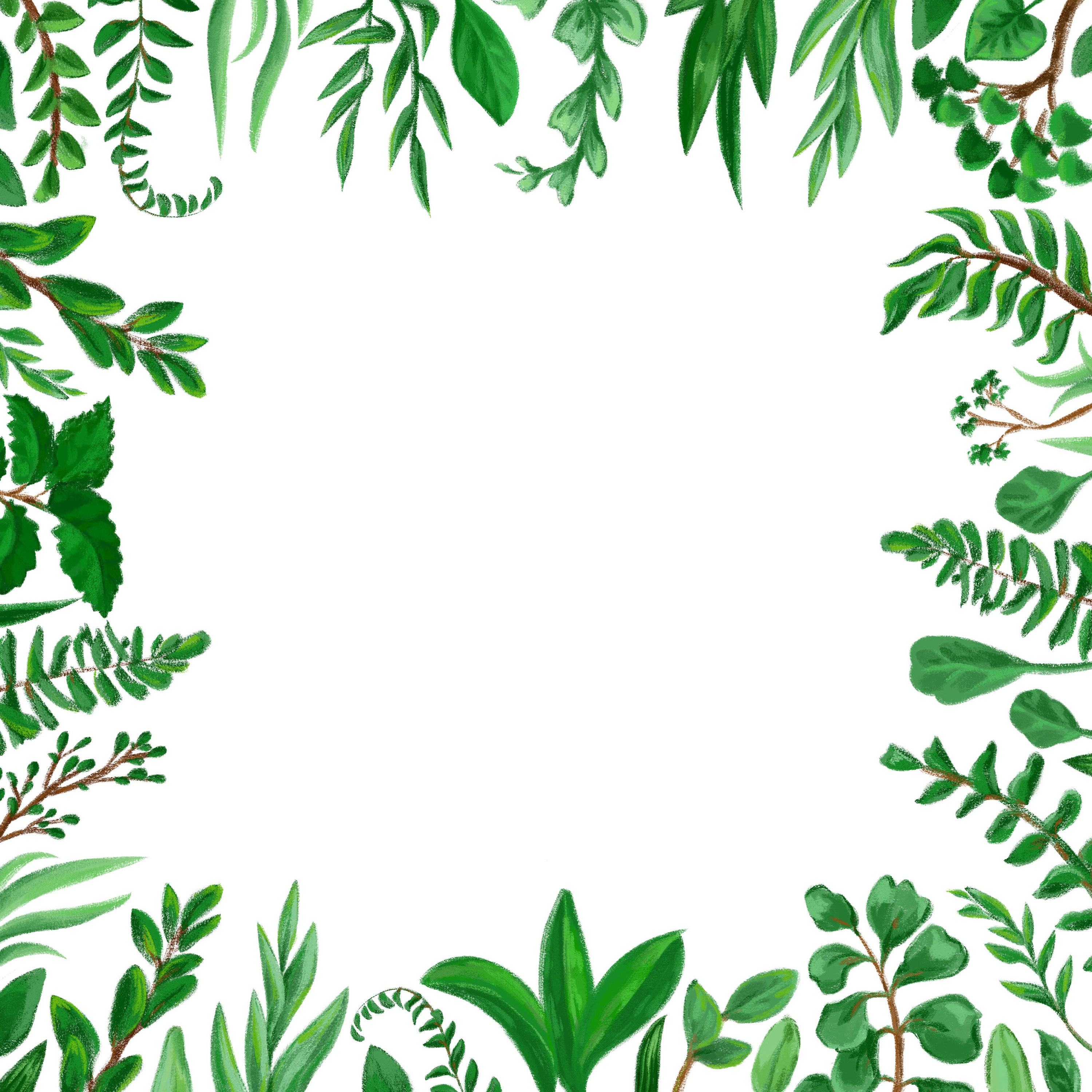 Greenery Png Frame and Digital Borders Png Clipartspring - Etsy Australia