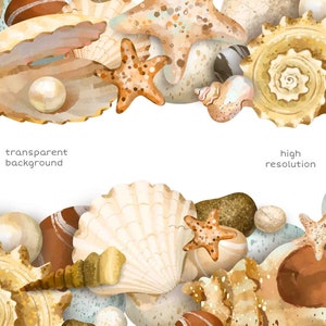 May include: A watercolor illustration of seashells, starfish, and stones. The illustration is in a light brown, beige, and white color scheme. The text 'transparent background' appears on the top left and 'high resolution' appears on the top right.