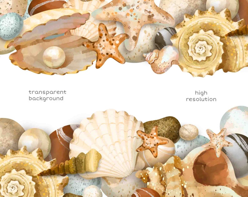 May include: A watercolor illustration of seashells, starfish, and stones. The illustration is in a light brown, beige, and white color scheme. The text 'transparent background' appears on the top left and 'high resolution' appears on the top right.