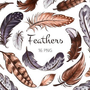 Feathers boho png clipart, Digital watercolor feather clipart for sublimation design, Bird feathers digital images and design elements png