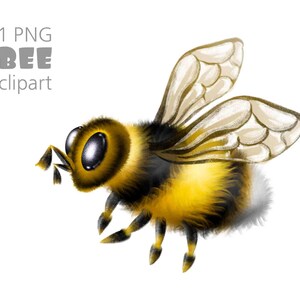 Cute bee png clipart digital download,Bee illustration Spring sublimation png commercial use,Honey bee image