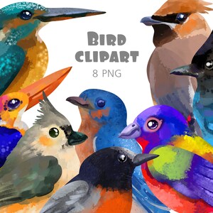 Cute bird png clipart digital download,Colorful bird illustration free commercial use,Watercolor bird images for sublimation designs