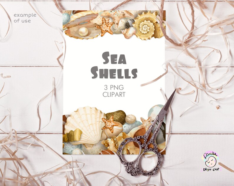 May include: A digital illustration of watercolor seashells in shades of brown, white, and beige. The illustration is on a white background with the text 'SEA SHELLS' in gray text and '3 PNG CLIPART' in black text. The illustration is surrounded by a border of seashells.