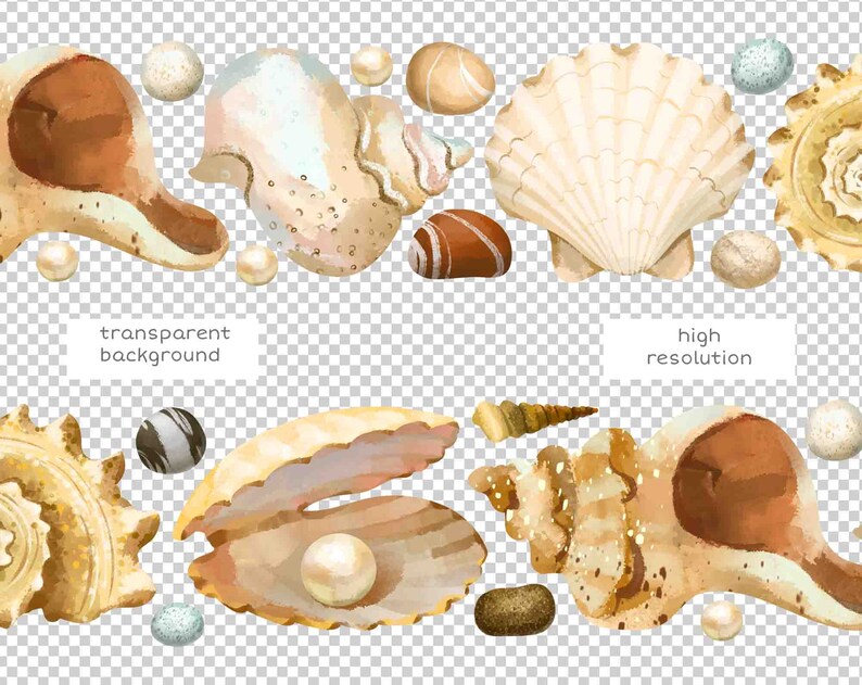 May include: A watercolor illustration of seashells and pearls on a transparent background. The illustration features a variety of seashells in different shapes and sizes, including a large scallop shell, a conch shell, and a clam shell. The shells are painted in shades of beige, brown, and white. There are also several pearls scattered around the shells. The illustration is perfect for use in a variety of creative projects, such as scrapbooking, card making, and digital design.