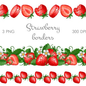Sammer strawberry border clipart png,Border seamless digital designs for sublimation or wedding invitation,Commercial use digital download