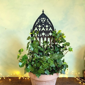 Suporte para plantas em arco gótico para janela • Conjunto de 2 ou 4 peças • Treliça catedral