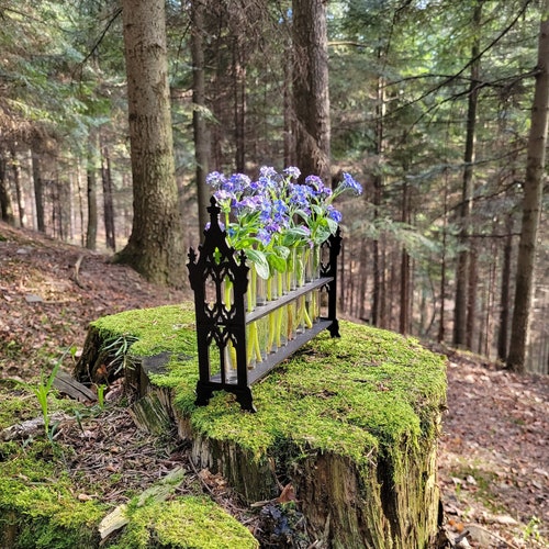 Miniature flower stand, Gothic test tube stand,  Miniature Propagation stations