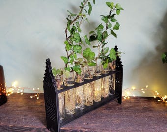 Houseplant Cuttings Propagation Station - Black-Varnished Wood with Glass Phials - Cathedral Decor