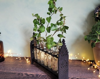 Wooden Gothic Propagation Station – Indoor Plant Stand for Cuttings