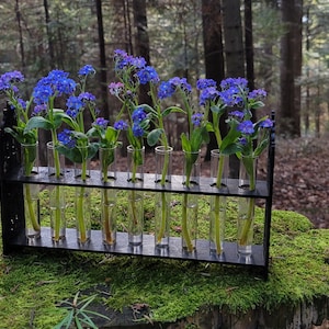 Miniature ornamented test tube stand, Miniature flower stand, Miniature Propagation stations image 5