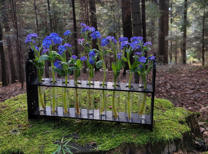 Miniature ornamented test tube stand, Miniature flower stand, Miniature Propagation stations image 5