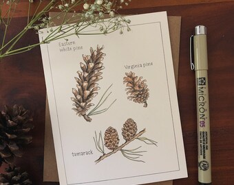 Pine Cone Blank Card - Set of Three