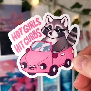 Adesivo in vinile opaco "Hot Girls Hit Curbs Raccoon" / animale rosa, impermeabile, portatile, borraccia, diario, album da disegno