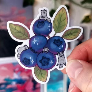 Winzige Waschbären auf Blaubeeren - Matt Vinyl Sticker | wasserdichtes Laptop Hydroflask Journal Skizzenbuch Cute Silly