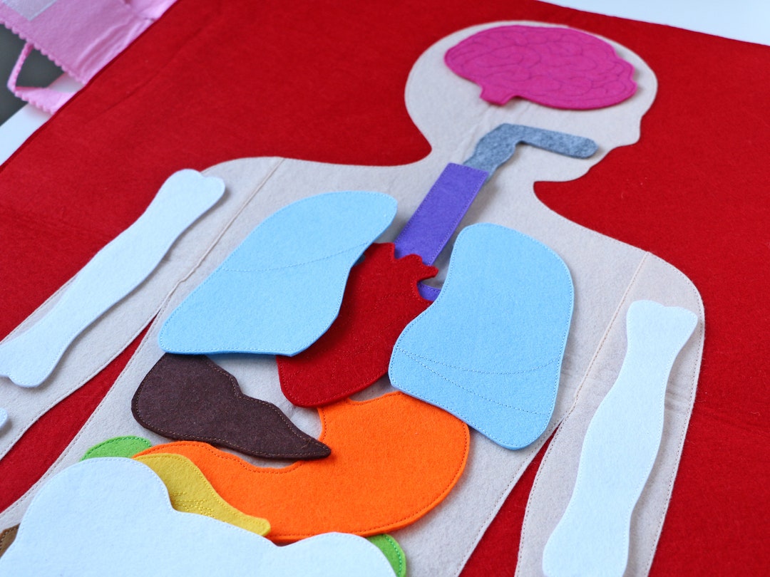 Montessori Felt Activity Bag & Board Human Body, Gifts for Kids Etsy