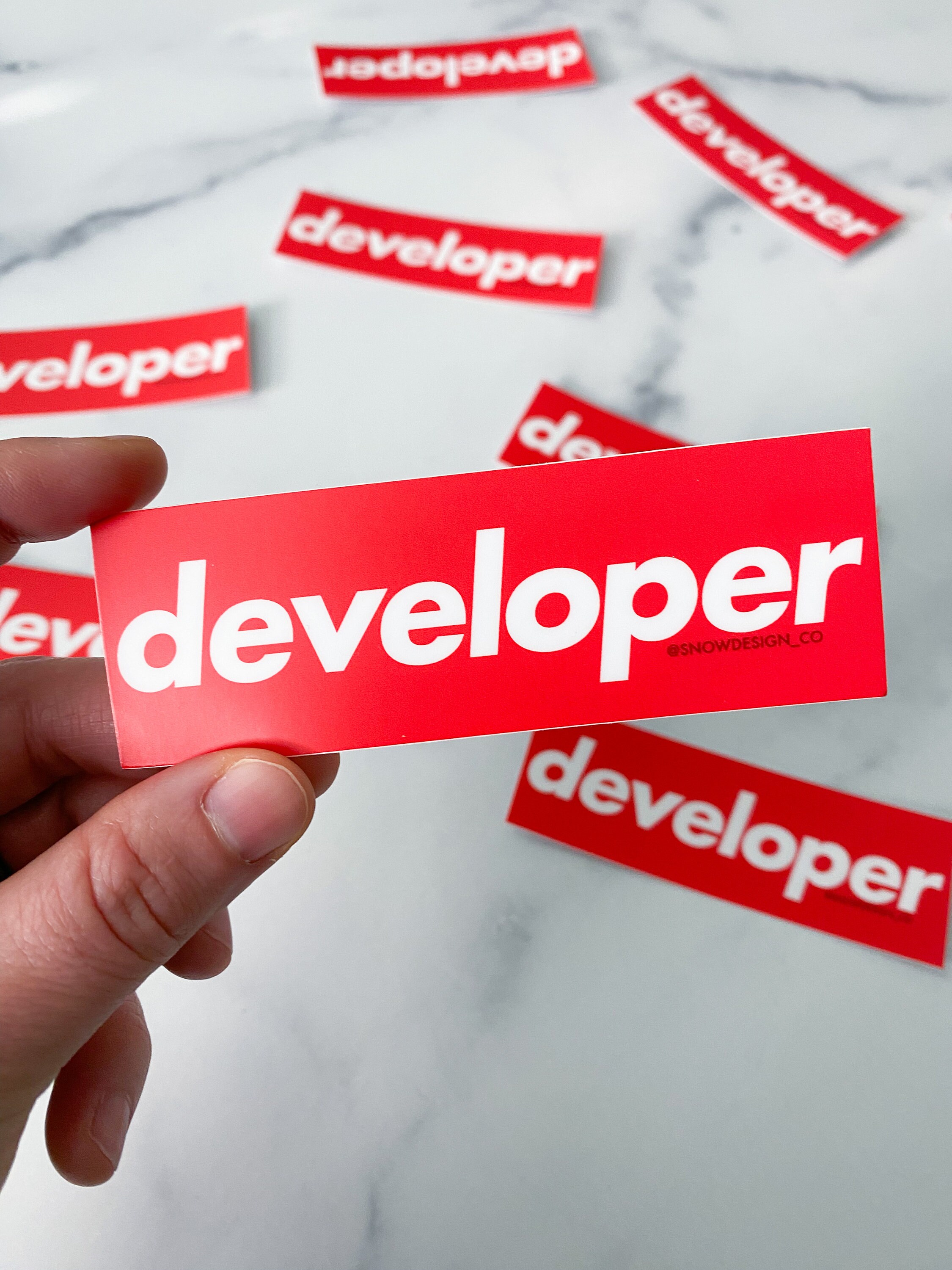 Developer Sticker - 4" / Coding Sticker / Programmer / Computer Science ...