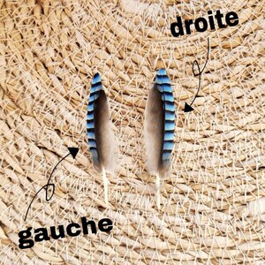 Plume de geai des chênes bleue naturelle zdjęcie 2