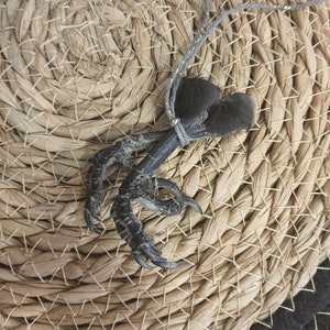 Puede incluir: Una pata de pájaro negra con garras, atada con una cuerda gris y dorada, sobre una estera de paja tejida.