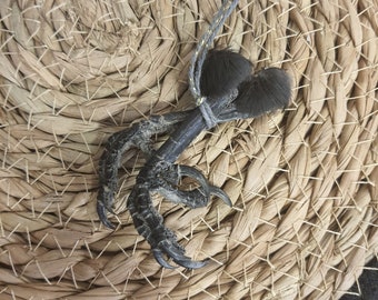 Un paio di zampe di corvo - zampe di uccello - zampe di uccello