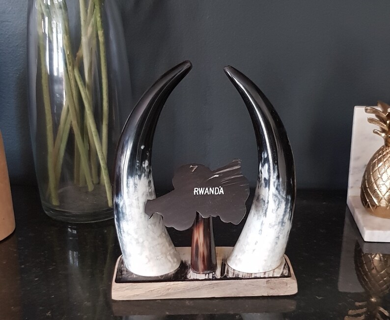 Inyambo Decorative Cow Horns Etsy