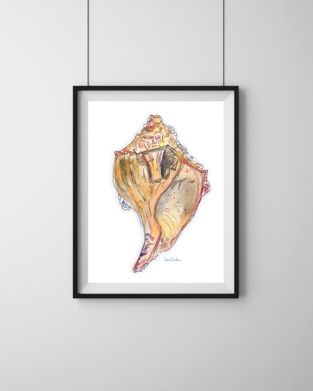 Conch Shell Watercolor Painting - Etsy