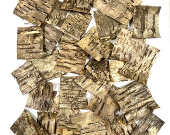 Golden Birch Bark, 25 Sheets, 2" to 4", 1mm Thick, Cards, Collage, Veneer, Natural Craft Supply, Gift for Crafter, #2416
