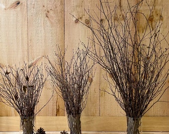 40 Birch Branches, Select 16", 22" or 36" Bundles, Floral Arrangements, Natural Accents, Holiday Decorating, Crafts