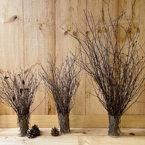 40 Birch Branches, Select 16", 22" or 36" Bundles, Floral Arrangements, Natural Accents, Holiday Decorating, Crafts