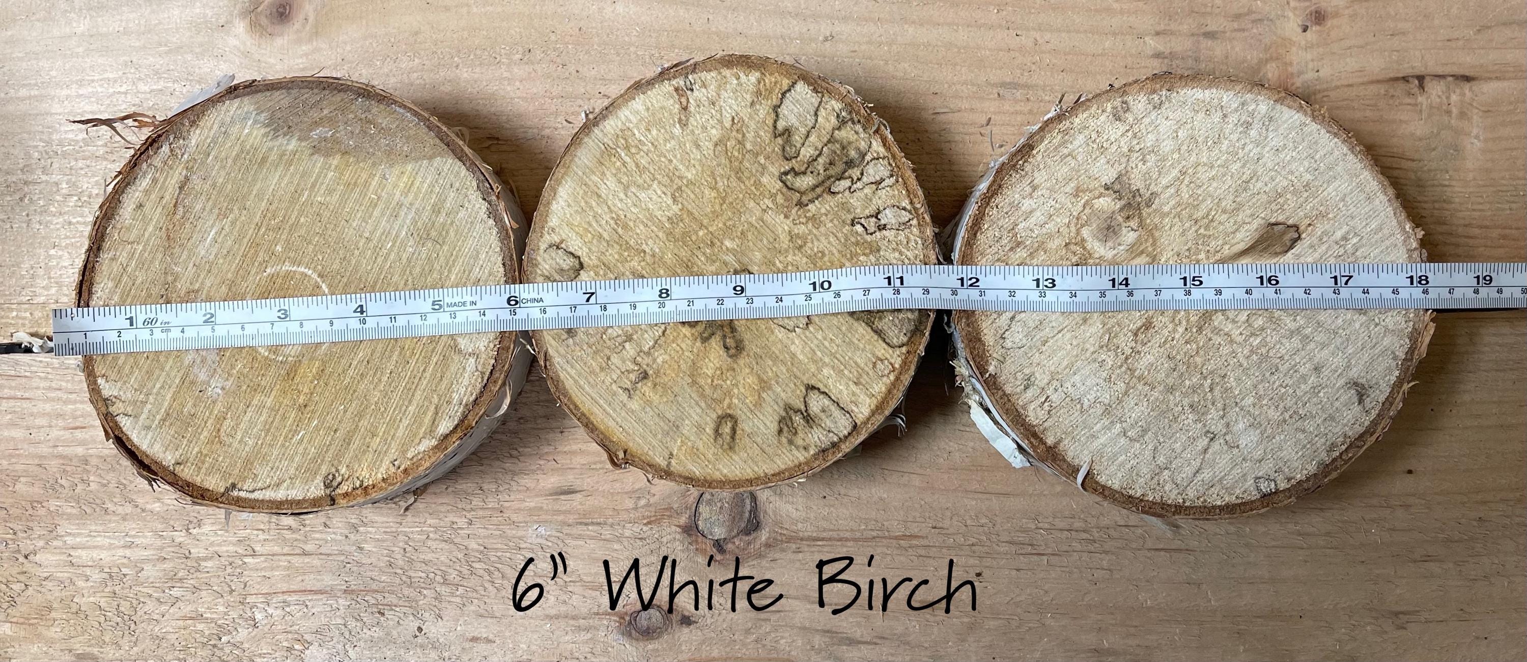 3 Large Rustic Birch Bases, 5