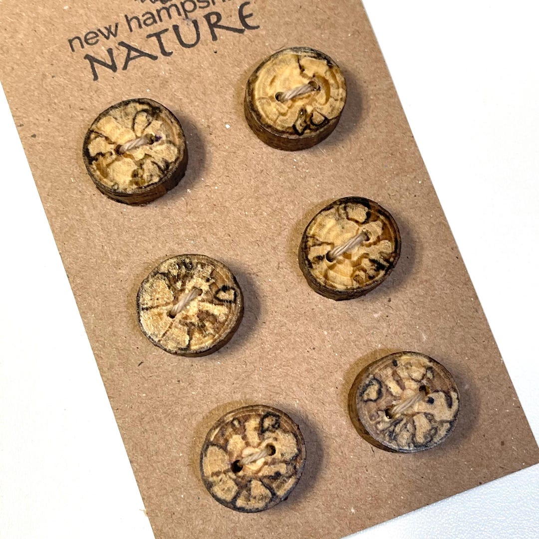 6 Spalted Beaver Stick Buttons, 3/4