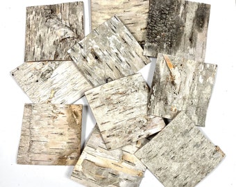 10 Birch Bark Squares, 4", Jewelry, Fairy Houses, Art, Natural Craft Supply, #2405