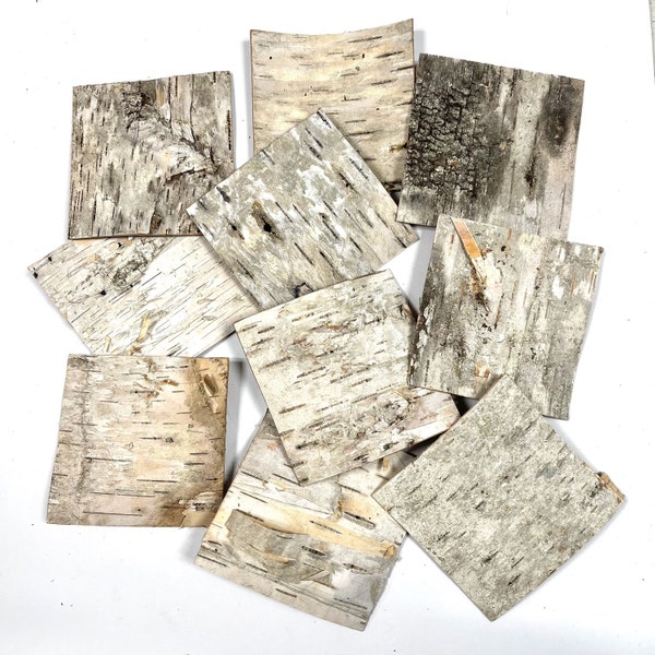 10 Birch Bark Squares, 4", Jewelry, Fairy Houses, Art, Natural Craft Supply, #2405