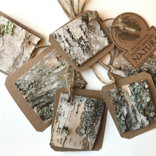 Birch Bark Tags, Set of 6, Assorted, Birch Pieces, 2"x3", Heavy Kraft Card Stock, Rustic Gift Tags