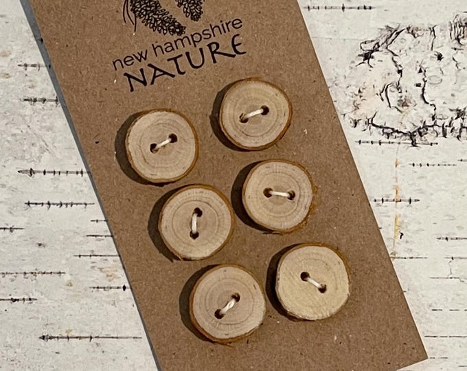 6 Birch Buttons, Natural Wood Buttons, 7/8