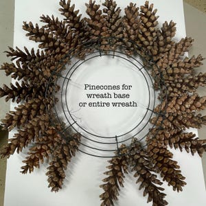 May include: A brown pine cone wreath base or entire wreath. The pine cones are arranged in a circular pattern around a wire wreath form. The text "Pinecones for wreath base or entire wreath" is written in black on a white background.