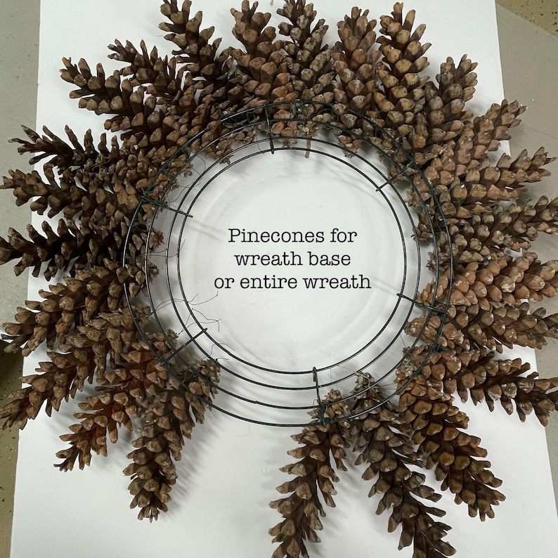 May include: A brown pine cone wreath base or entire wreath. The pine cones are arranged in a circular pattern around a wire wreath form. The text "Pinecones for wreath base or entire wreath" is written in black on a white background.