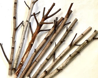 8 Birch Branches, 17" Long, 1/2" - 3/4" Diameter, White Birch Perches, Fiber Arts, Weaving, Macrame, Wall Hangings