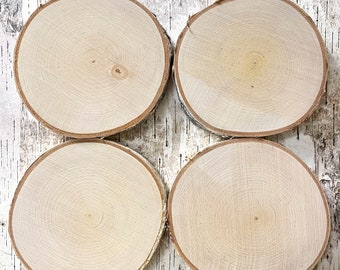 4 White Birch Slices, 5"x 1/2", Wood Burning, Multimedia Painting Surface, Large Coasters, Wood Rounds, Birch Discs, #24