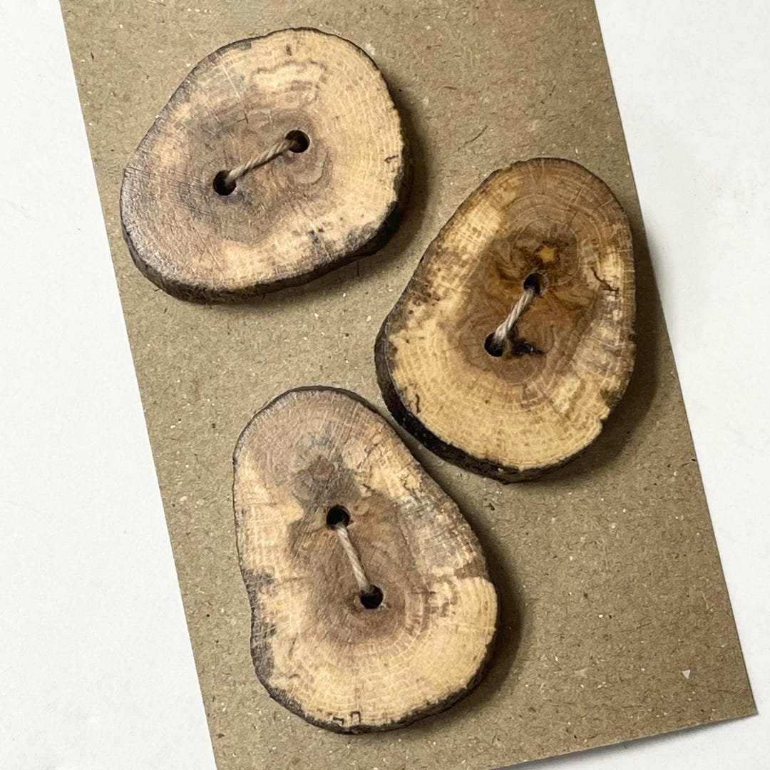 3 Large Wood Buttons, Beaver Stick,assorted Sizes, Natural Crafts ...