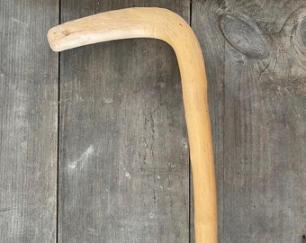 Root Cane, Sugar Bush Cane, 38 Inches, Rustic Walking Stick, Lightweight, Handcrafted Gift