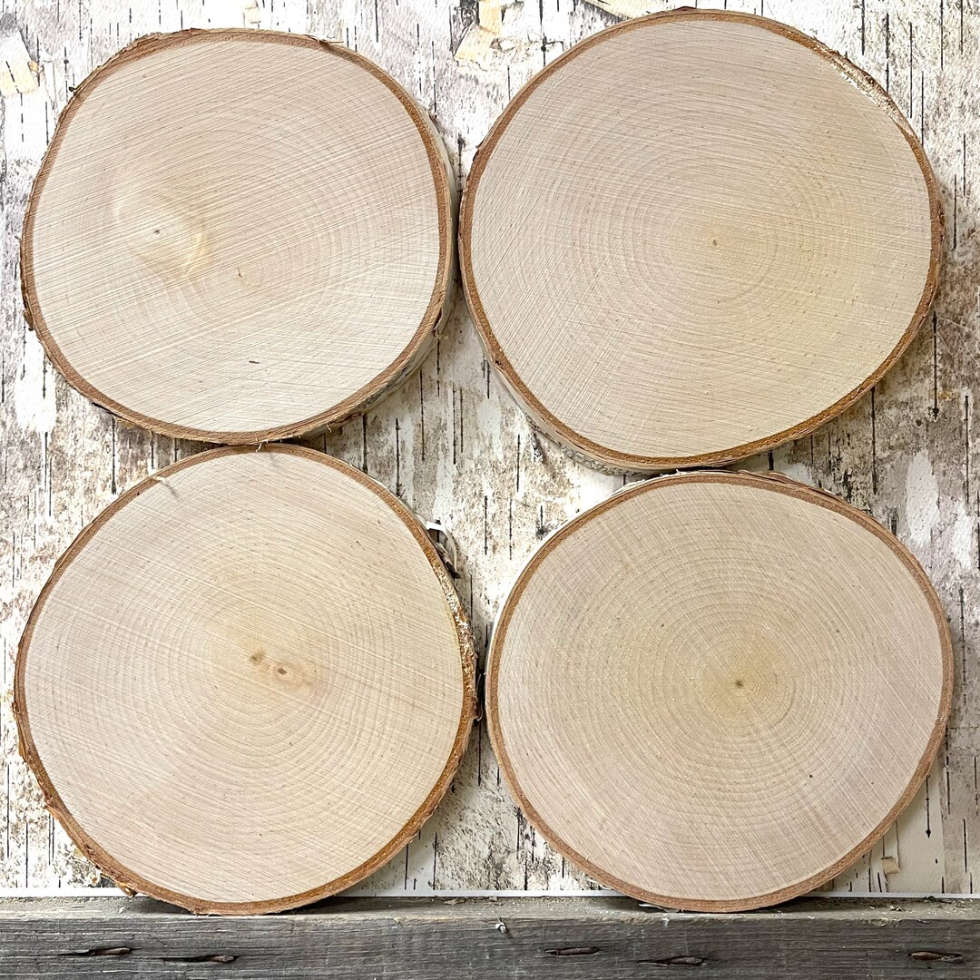 4 White Birch Slices, 5.5