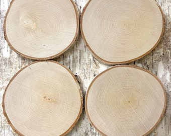 4 White Birch Slices, 5.5"x 1/2", Wood Burning, Multimedia Painting Surface, Large Coasters, Wood Rounds, Birch Discs, #26