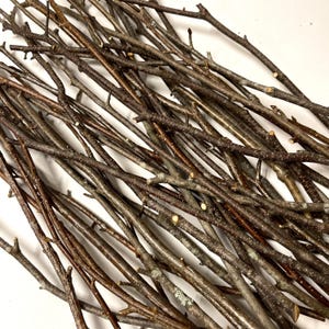 May include: A collection of small, dried tree branches with varying shades of brown and gray. The branches are of different lengths and thicknesses, some with small stubs where twigs were cut. The natural wood pieces are arranged on a white surface.