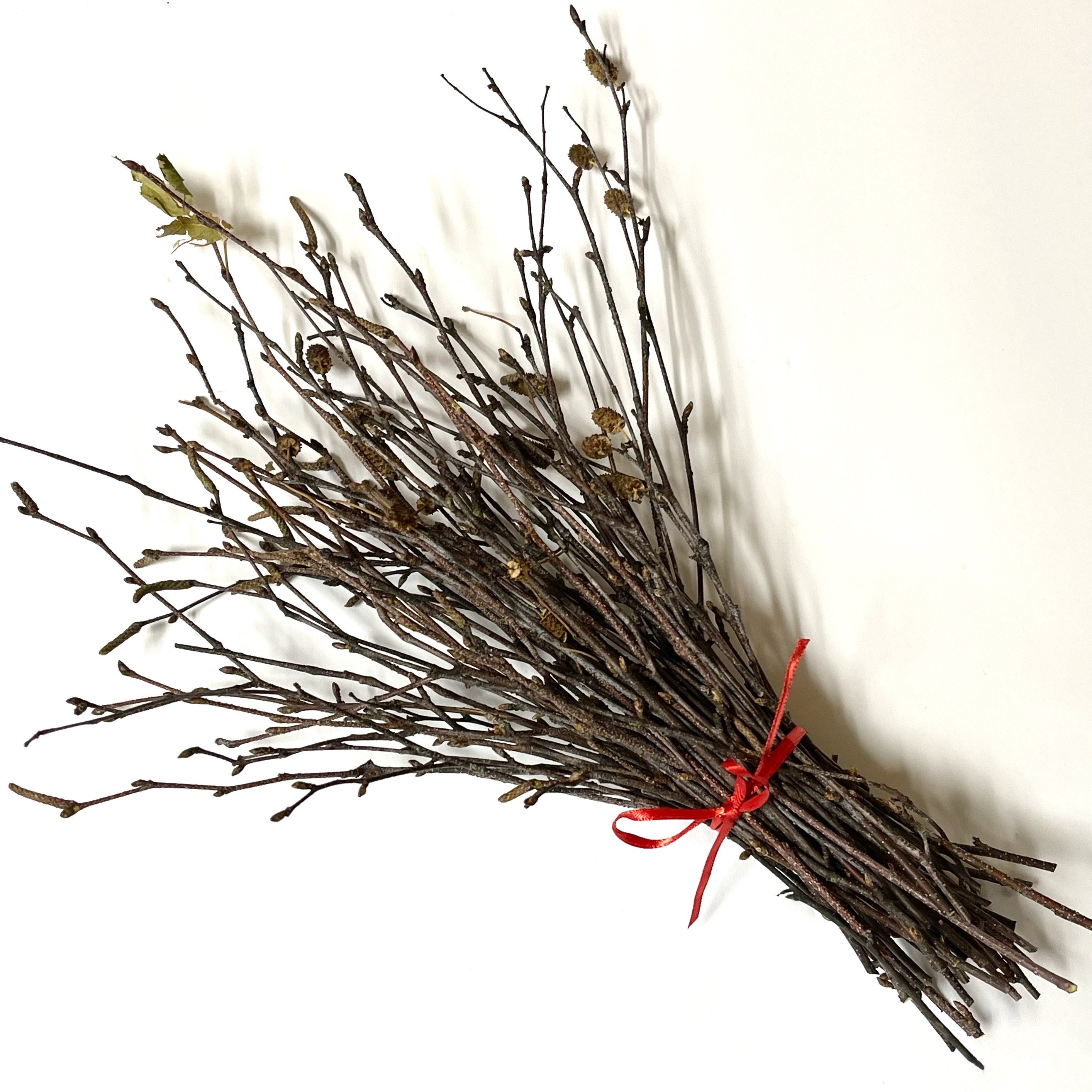 Dried Birch Twig Bunch / Christmas Dried Flower Decorations / DRIED flowers  UK – DRIED Limited